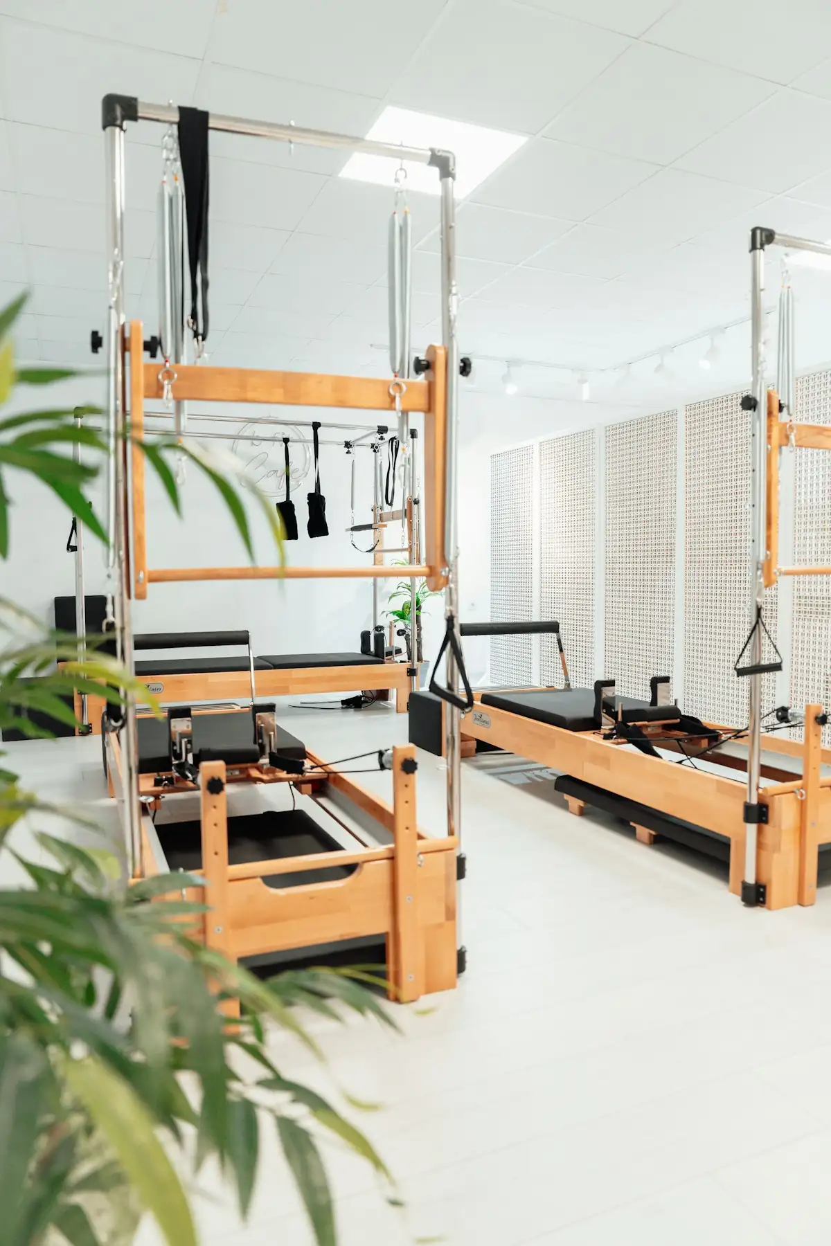 Reformers and towers in a bright studio with plants